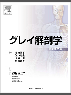 グレイ解剖学原著第2版の電子書籍の魅力とは！？: M2＋スタッフのまんまブログ