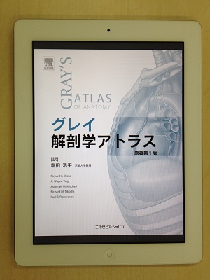 グレイ解剖学アトラスが遂に！？: M2＋スタッフのまんまブログ