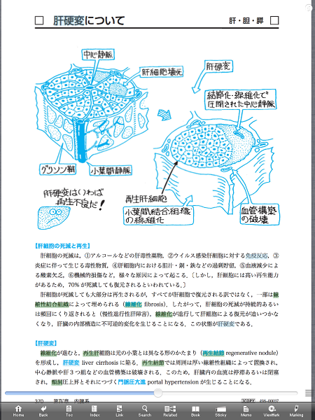 イラスト解剖学 はじめ 10製品登場 M2 スタッフのまんまブログ