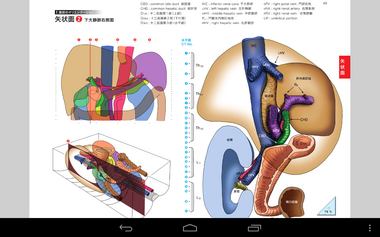 Screenshot_2012-11-06-13-52-24.png