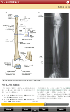 Screenshot_2012-12-19-10-24-05.png