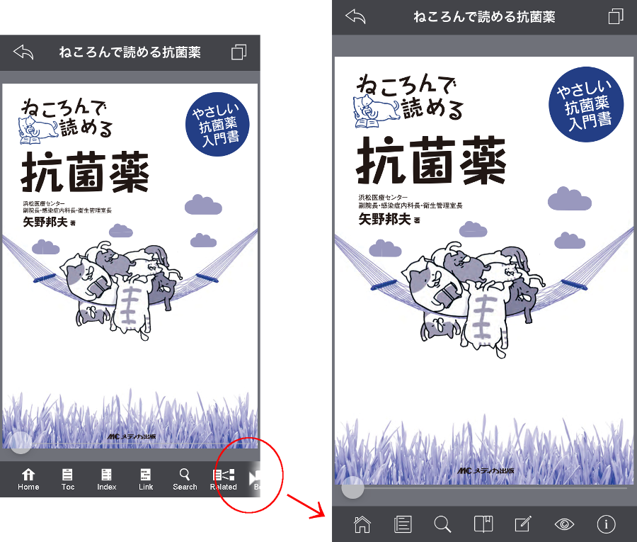 eBook.png