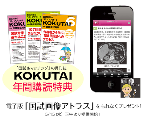 kokutai_blog1.png