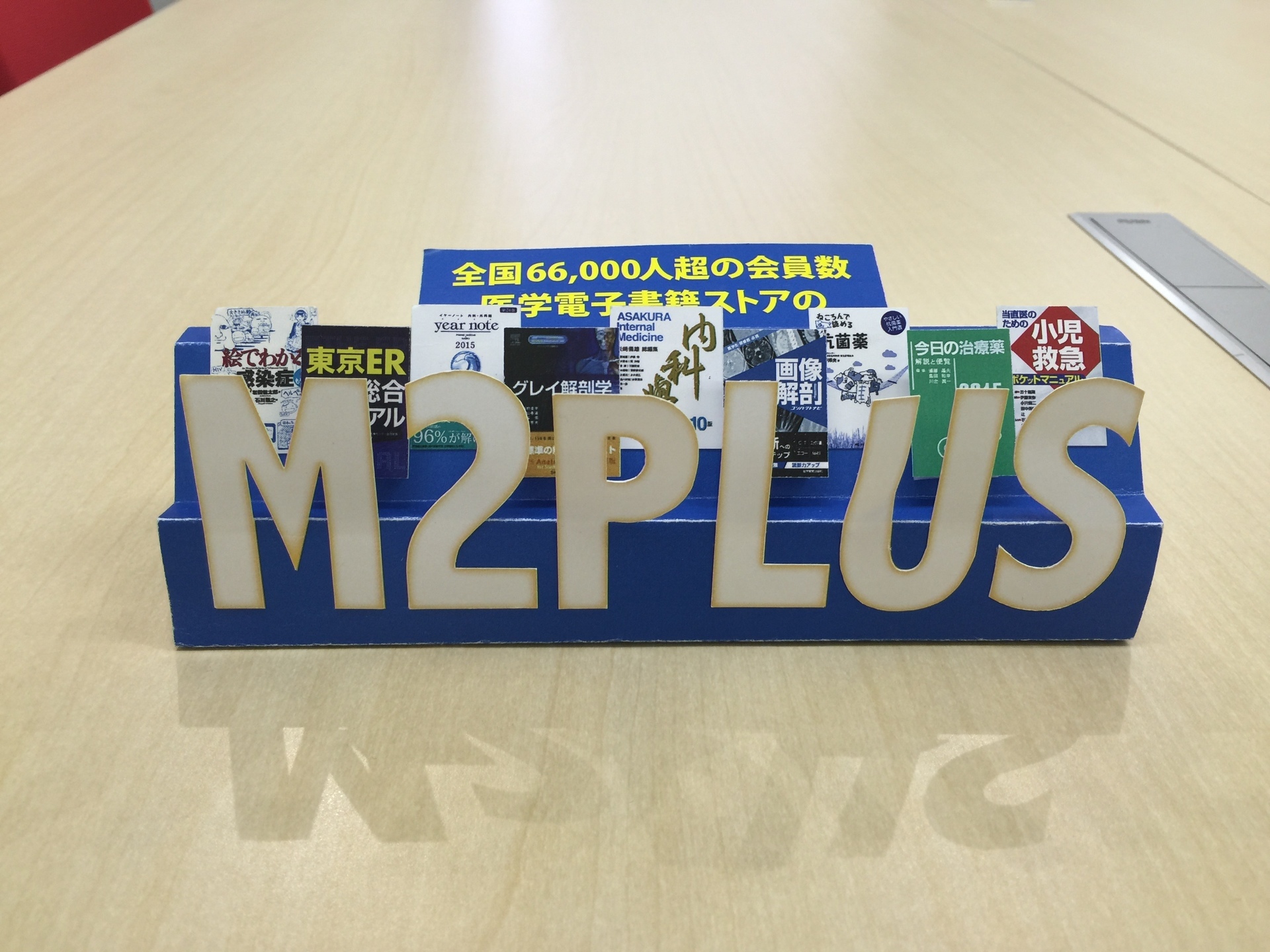 m2plus_item1.jpg